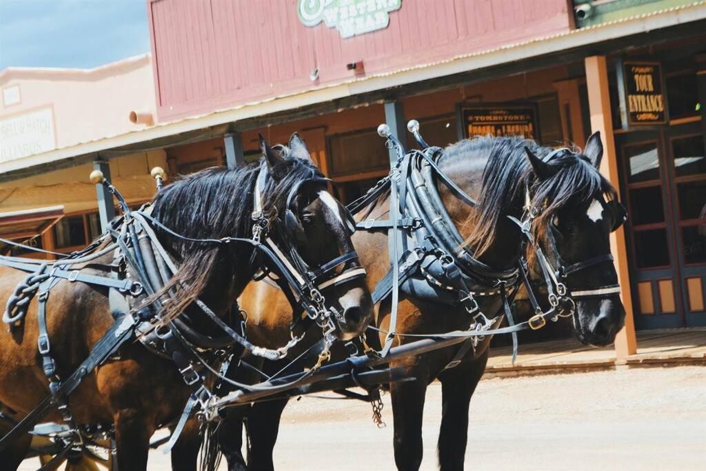Silver Spur Homestead Luxury Glamping - The Cowboy Tombstone Buitenkant foto